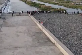 黄河支流鱼群聚集，民众冒险下水捞鱼，当地网友：这鱼猫都不吃图片