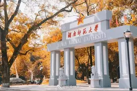 岳麓山菊花开了！“长沙金”闪亮刷屏，接下来持续20℃+图片