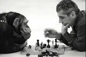 科普一点通 | 来自猩猩的你，为什么脑袋更大更聪明？图片