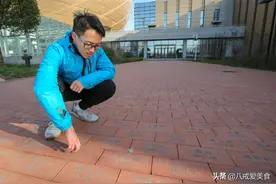 5千名毕业生送砖头给母校，成本1块卖价30元，网友：商机无限图片