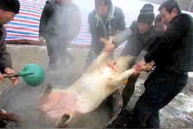 话说咱东北杀年猪真正的杀猪大菜有哪些图片