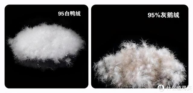 冬天保暖，是P棉豪强还是羽绒称王，让我来告诉你怎么选
