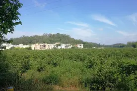 这是我的家乡图片