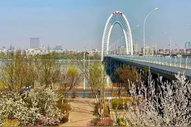 锦城春季超全赏花指南 | 不负春光，一起来赏花！图片