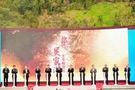 董卿汪俊林吴家沟重阳投粮，百年郎酒千亿征程扬帆起航图片