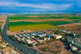 奋斗百年路 启航新征程丨三坪农场：让改革红利从细微处可触摸图片
