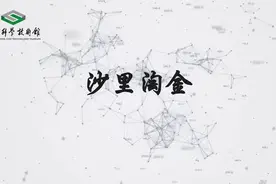 居家实验 | “ 沙里淘金”有什么秘密？图片