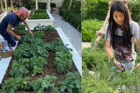 泰国思蕊公主宅家收菜 大秀厨艺图片