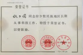 忆在新疆建设兵团的日子里「第七节」图片