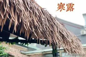 寒露开始，记得添衣保暖多喝水，常吃6样忌2样，调整饮食顺利入冬图片