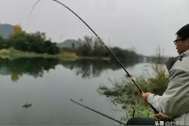 大力马又软又结实，为何在钓鱼中使用率不高？是太便宜了吗？图片