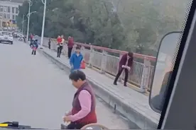 湖北大妈不顾危险穿梭车流，只为捡臭屁虫，曾有人两三百一斤收购图片