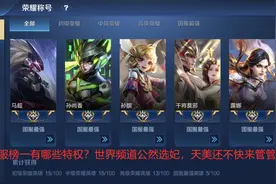 国服榜一有哪些特权？世界频道公然选妃，天美还不快来管管图片