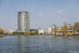 浙江大学多个本科专业被撤销的背后是壮士断腕的决心图片