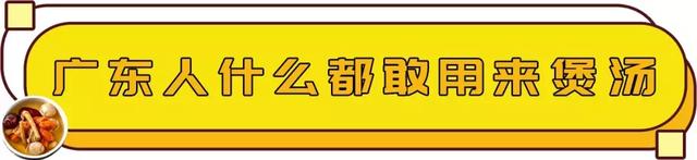 猪肚花胶汤春天能喝吗 2026年猪肚花胶汤春天能喝吗孕妇