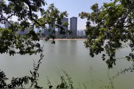 站在桐君山上看富春江——拍摄于浙江省杭州桐庐桐君山图片