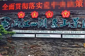 桂林“神操作”：不但把树围起来收钱，还将象鼻山遮死不许偷看图片
