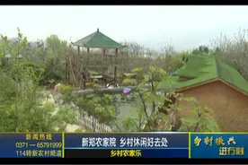 新郑：春天踏青溜娃哪里去 具茨山欢迎您图片