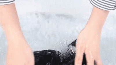 这条打底裤堪称裤子界小米，燃脂提臀还滋润身体，重点是自带磁疗