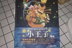 《小王子》：独一无二的从来都不是玫瑰，而是你自己的心图片