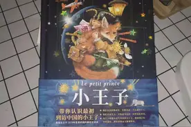 《小王子》：独一无二的从来都不是玫瑰，而是你自己的心图片