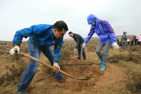 不负好春光！吴忠干群“撸袖”添新绿图片
