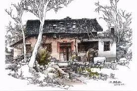 太震撼！这波极品钢笔手绘，我是一张张跪着看完的，笔触精致细腻图片