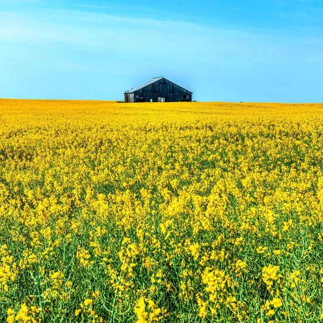 100幅顶级摄影师的获奖摄影