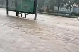 “出生的第一天就面对洪水猛兽”！暴雨中这些揪心时刻太好哭了图片
