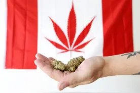 被大麻控制的加拿大：瘾君子天堂，地狱在人间图片