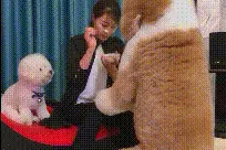 搞笑gif：二哥，你能不能先把音乐关了，让我吃完面再放图片