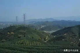 喊话教育基金，赶快清盘吧图片