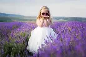 全上海最大的薰衣草花海在这里！一秒坠入紫色海洋！距离迪士尼不到1公里图片