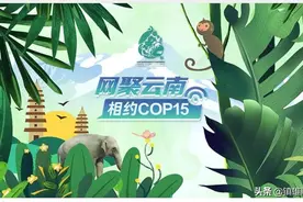 COP15来了！有彩蛋…图片