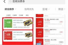 政府消费券被羊毛党盯上：开挂抢券转卖套现 有人月入上万图片