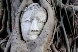 34张照片告诉你：人类文明在大自然面前不堪一击图片