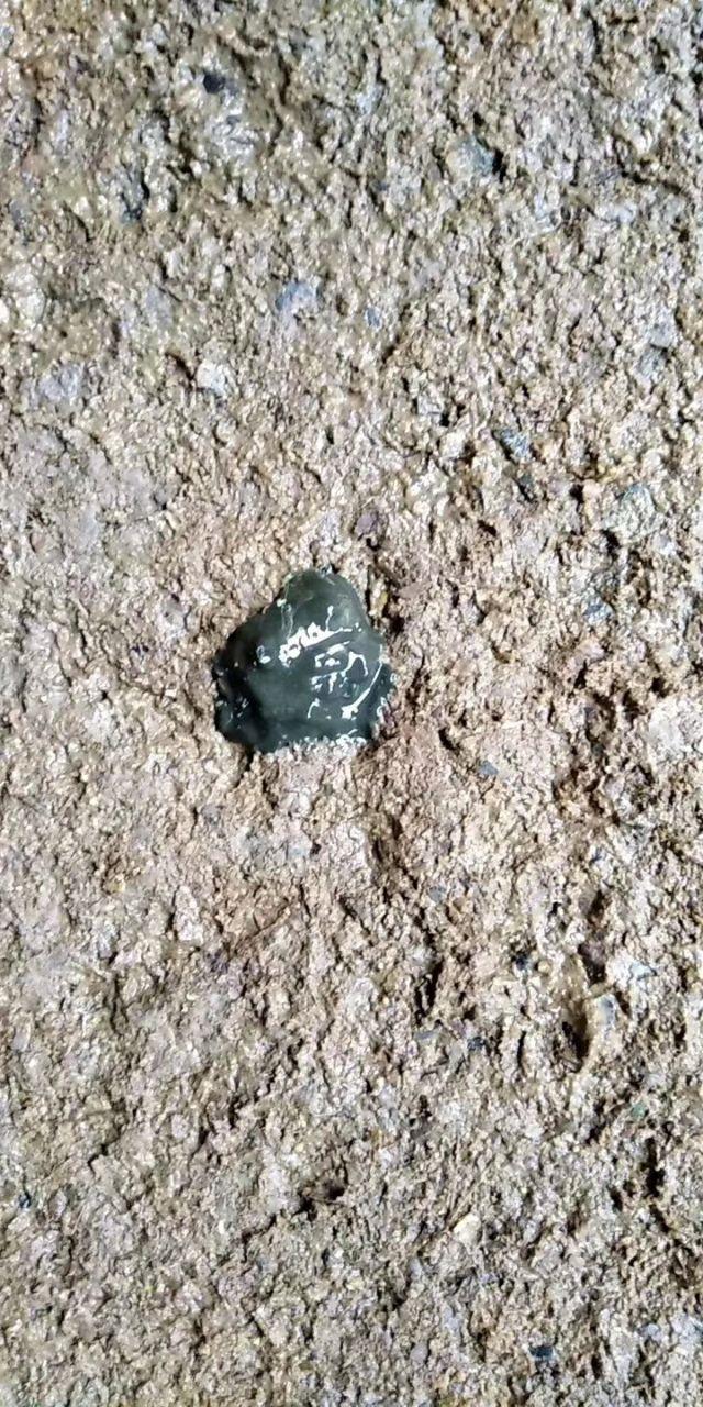 硫酸粘杆菌素在畜禽上的应用