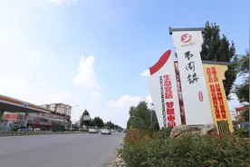 2020年，枣园镇这样走过！图片