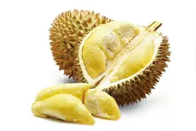 泰国南部榴莲进入尾季，榴莲价格略有下跌，预计3月中旬会回涨图片