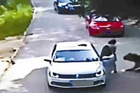 5年前，“八达岭老虎咬人事件”幸存的女人，后来怎样了？图片