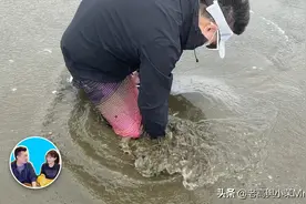 这次是真挖坑 | 老高與小茉 Mr & Mrs Gao图片