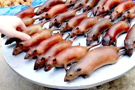 「故土记忆」饥饿年代的小确幸图片