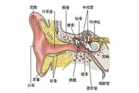 有人耳屎是干的，有人是湿的，两者有何不同？图片