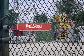 故事：办游乐园年卡的中年人：如果人生能像开碰碰车一样快乐图片