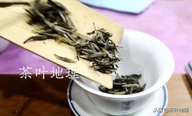 了解这些细节，人人都能泡好白茶！