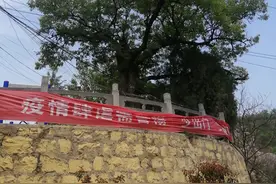 郑州近郊的乱石坡村，已经成了远近闻名的油菜种植与赏花基地图片