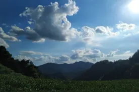 杭州私藏登山线路：满觉陇-茶山-贵人阁-虎跑（谁说夏天不能爬山图片