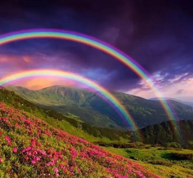 全部的成语！收藏起来，回家教给孩子