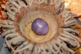 天降横财，这4件奇事，你有没有听说过？图片