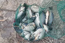 冬钓鲫鱼别老守着深水钓底，只要选对了水层，钓浮也能连竿上鱼图片